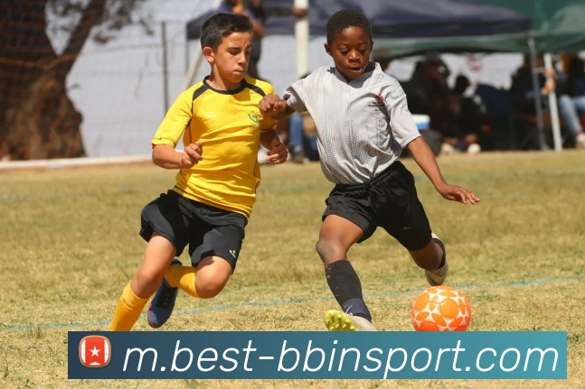 BBIN体育APP 高清赛事图